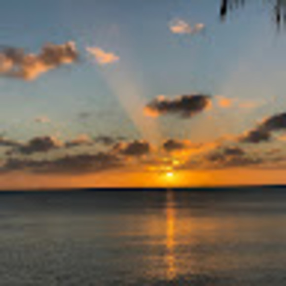 Meet your Posher, Britteny - Picture 1 of 1